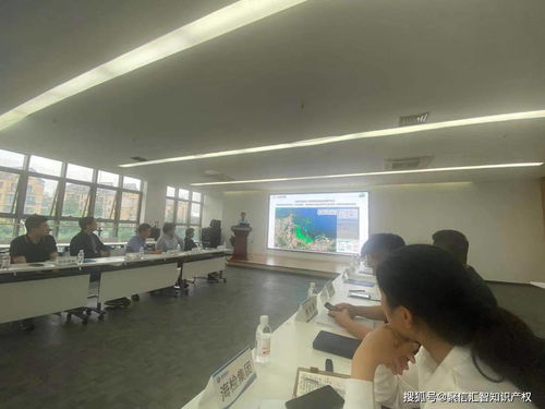 讓科技服務成為科技創(chuàng)新的助燃劑——信息技術咨詢服務的價值與路徑